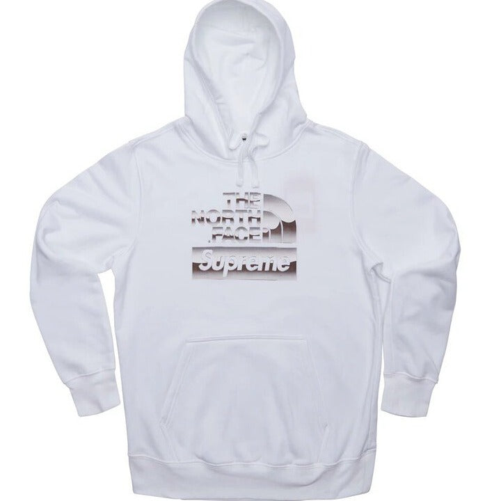 Supreme The North Face Metallic Logo Hoodie &#39;White&#39;