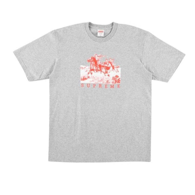 Supreme Riders T-Shirt &#39;Grey&#39;