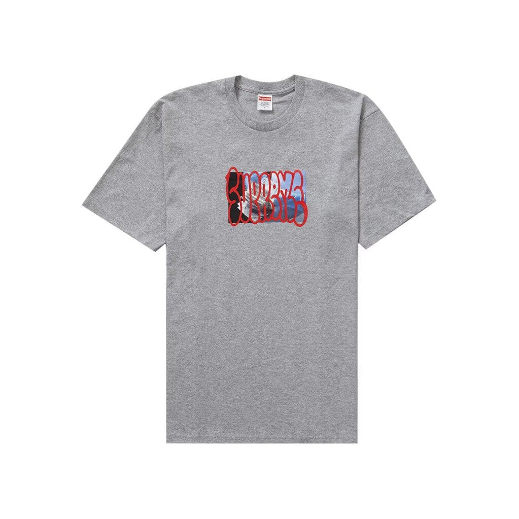 Supreme Payment T-Shirt &#39;Heather Grey&#39;